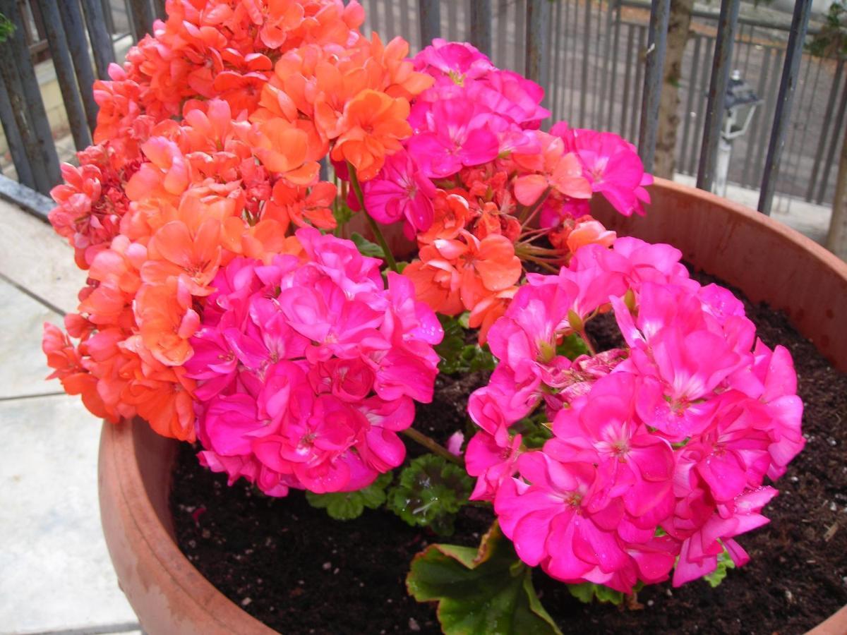 B&B San Salvador Santa Maria al Bagno Εξωτερικό φωτογραφία